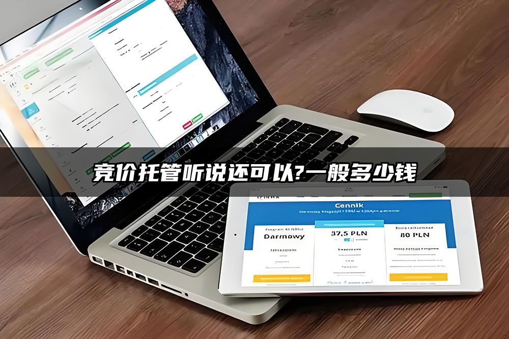 竞价托管听说还可以?一般多少钱