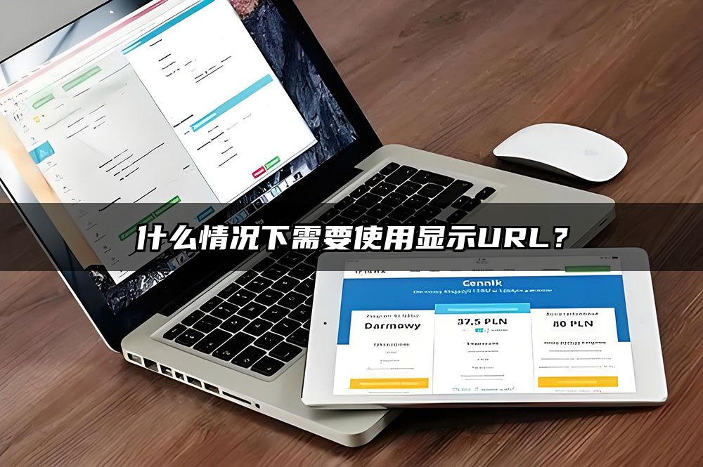 什么情况下需要使用显示URL？