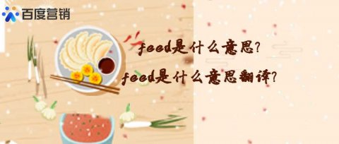 feed是什么意思?feed是什么意思翻译?