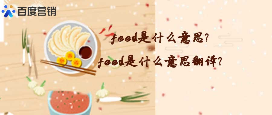 feed是什么意思